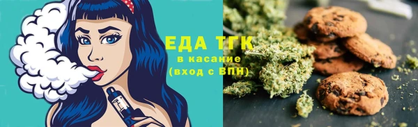 гидра Медногорск