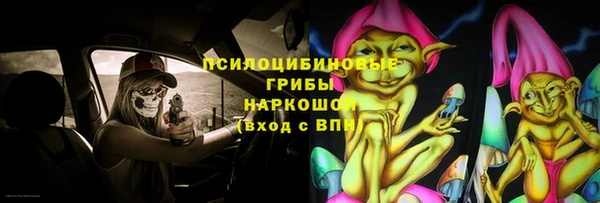 ешки Мегион