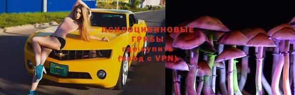 гидра Медногорск