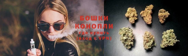 гидра Медногорск
