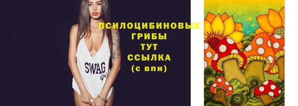ешки Мегион