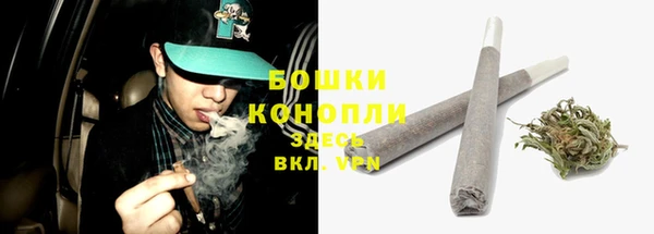 ешки Мегион