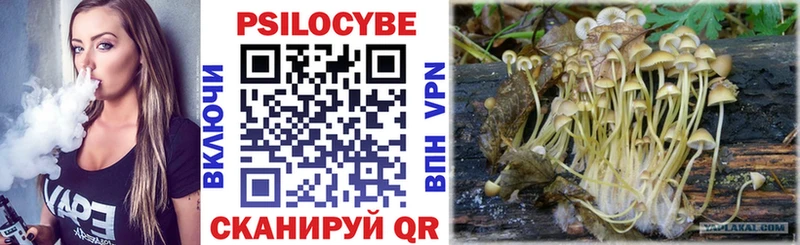 Галлюциногенные грибы мицелий  mega сайт  Туран 